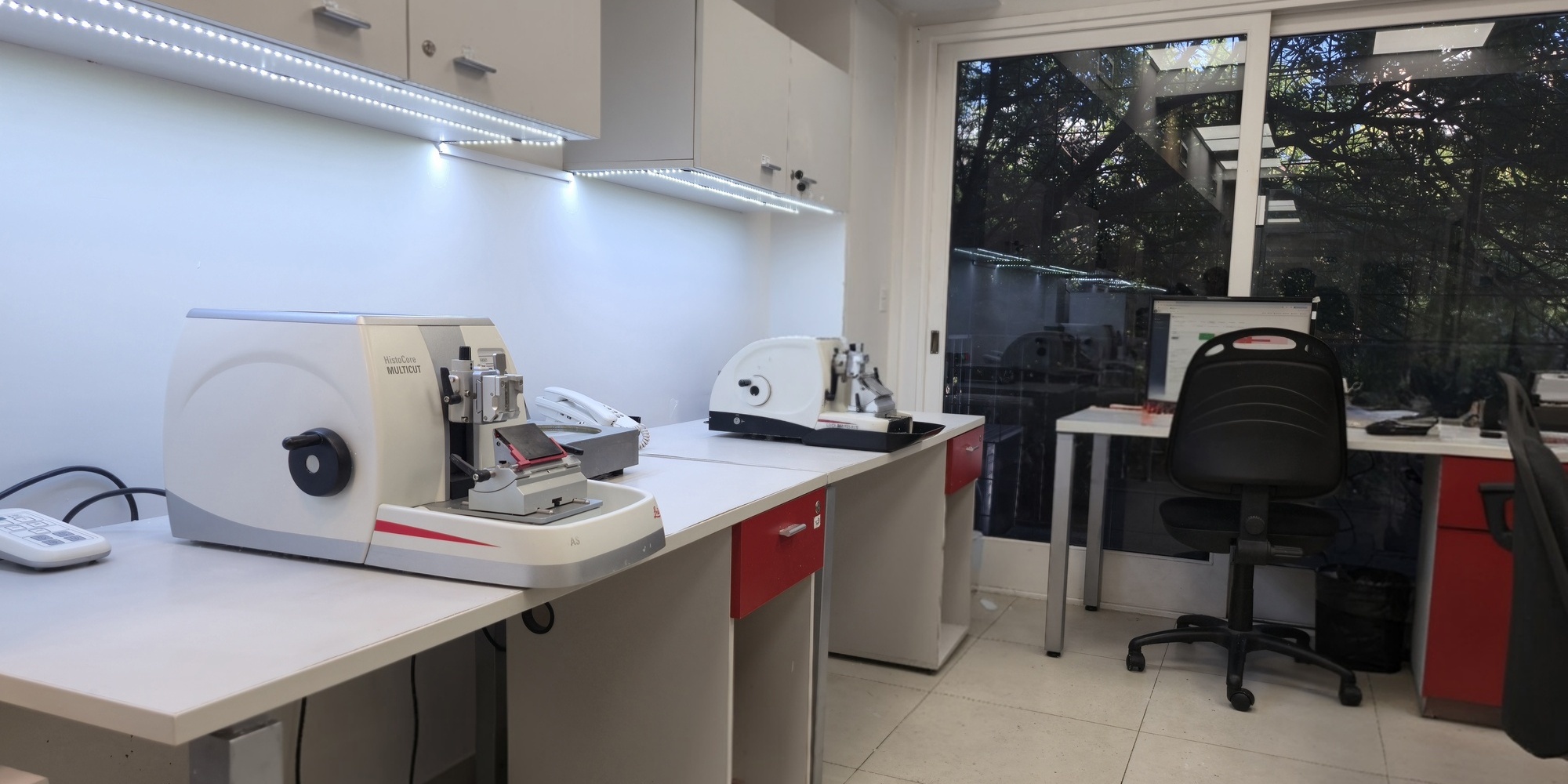 Laboratorio - Sector de Corte