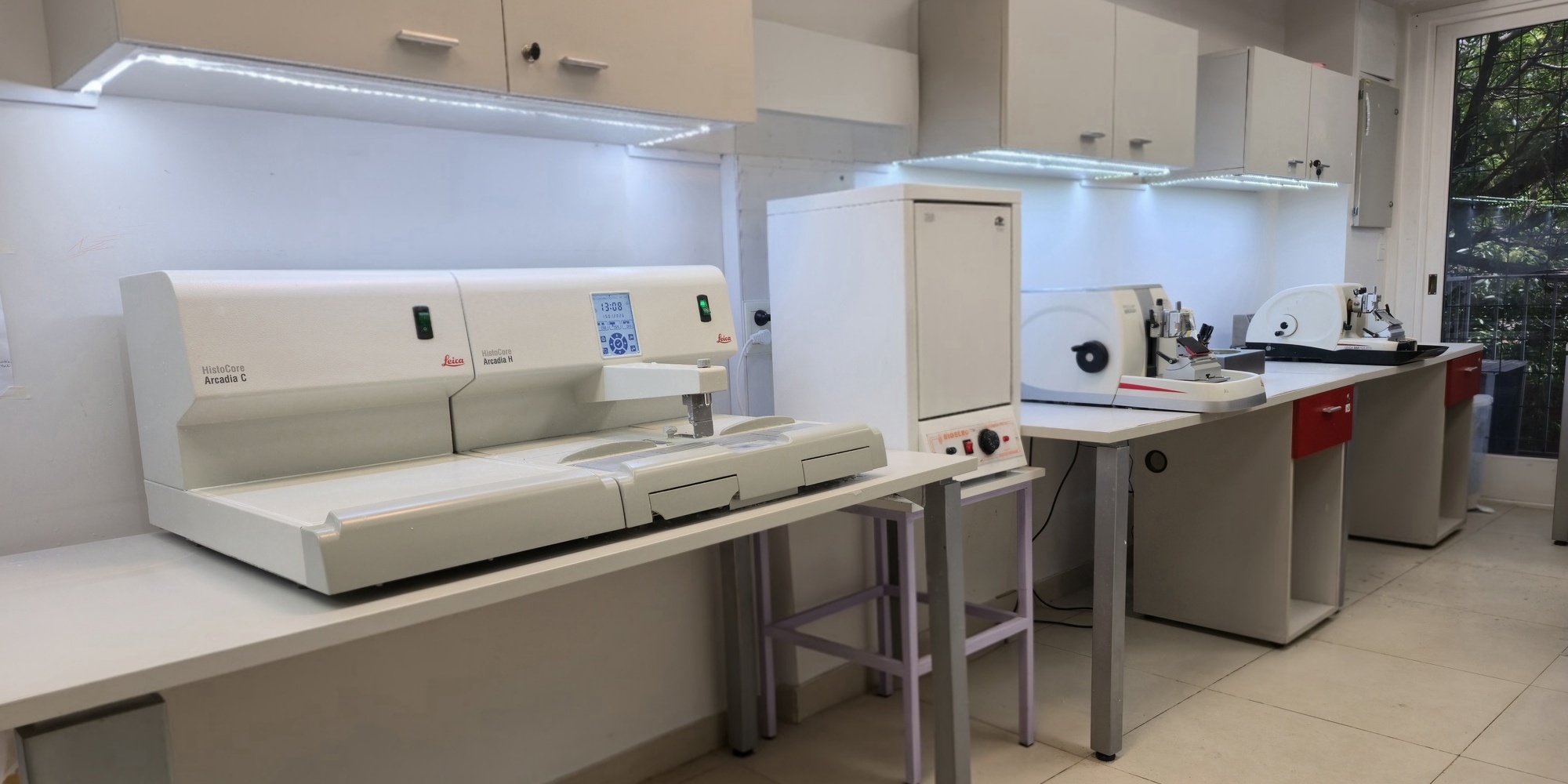 Laboratorio - Sector de Inmunohistoquímica
