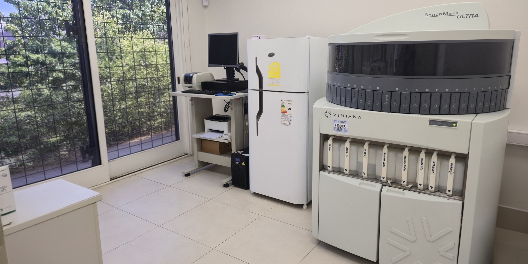 Laboratorio - Sector de Macroscopía